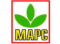 Купить семена МАРС (Уральский дачник)