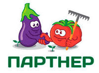 Купить семена Партнер
