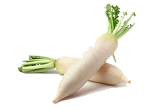 Купить семена дайкона