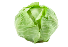 Купить семена капусты