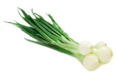 Купить семена лука