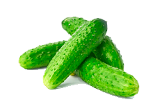 Купить семена огурцов