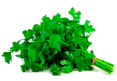 Купить семена петрушки