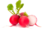 Редис