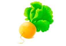 Купить семена репы