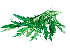 Купить семена индау (рукколы)