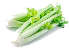 Купить семена сельдерея