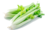 Сельдерей
