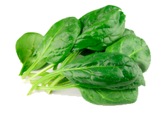 Купить семена шпината