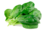 Шпинат