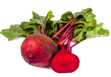 Купить семена свеклы