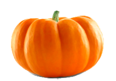 Купить семена тыквы