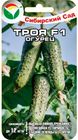 Огурец Троя F1