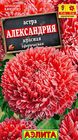 Астра Александрия красная