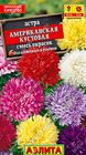 Астра Американская кустовая, смесь окрасок