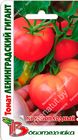 Томат Ленинградский Гигант